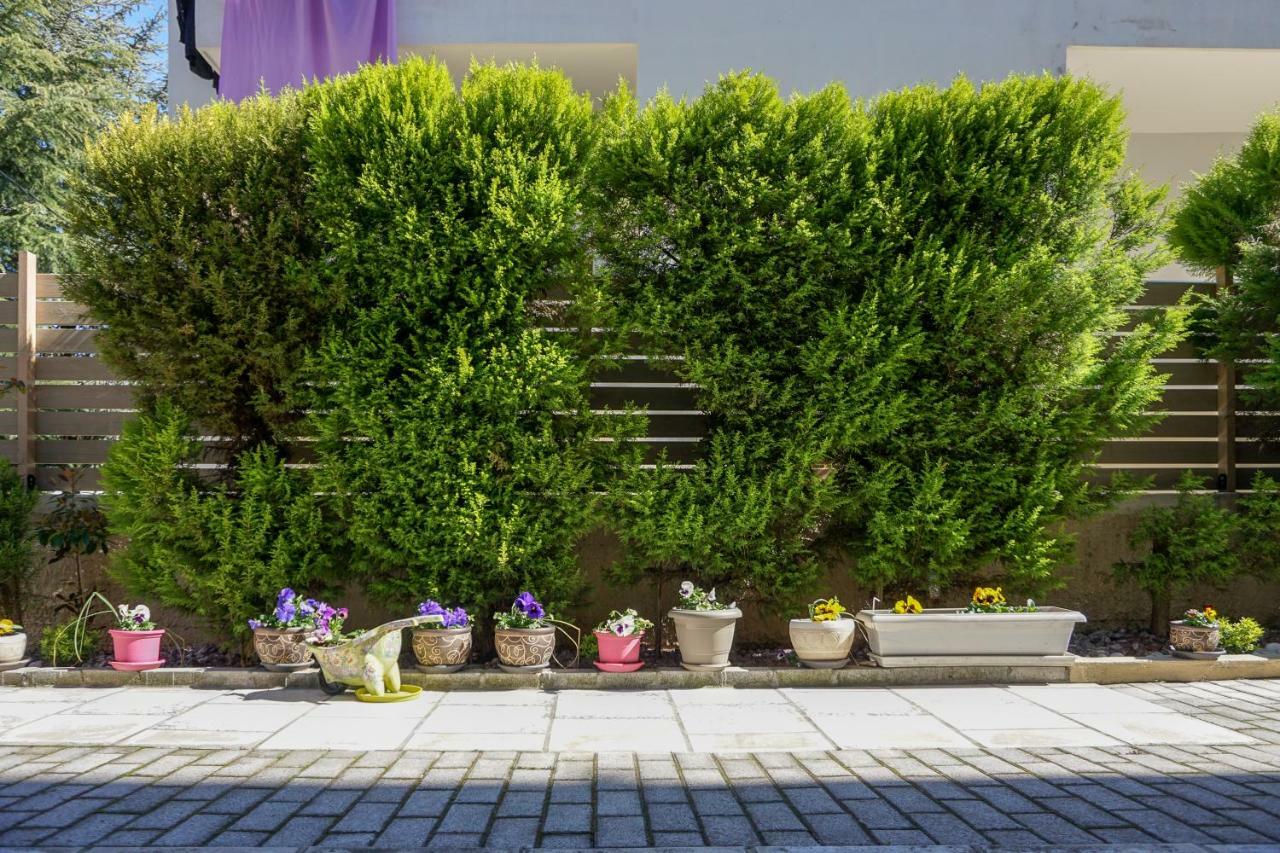 Casa Elegante W/ Garden, 5' To Apartament